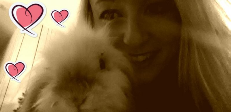 cause animale