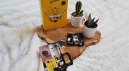 Gramm’s: le pop corn auxerrois!